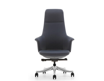 XD-P007 Leather Chair