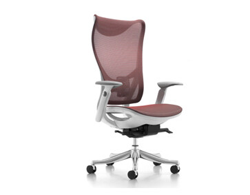 XD-W009 Office Chair